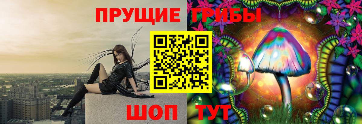Псилоцибиновые грибы GOLDEN TEACHER  Вход с VPN  Новошахтинск 