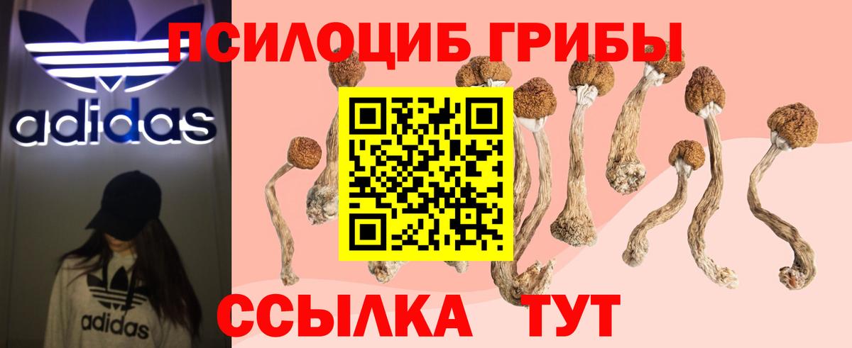 Галлюциногенные грибы MAGIC MUSHROOMS Новошахтинск
